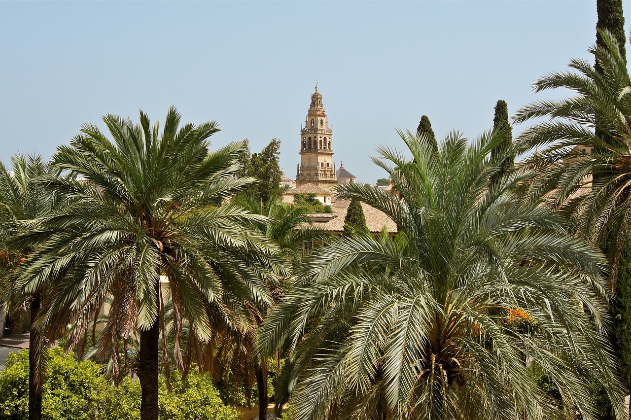 قرطبة السياحة