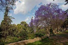 Abu Kheyal Park