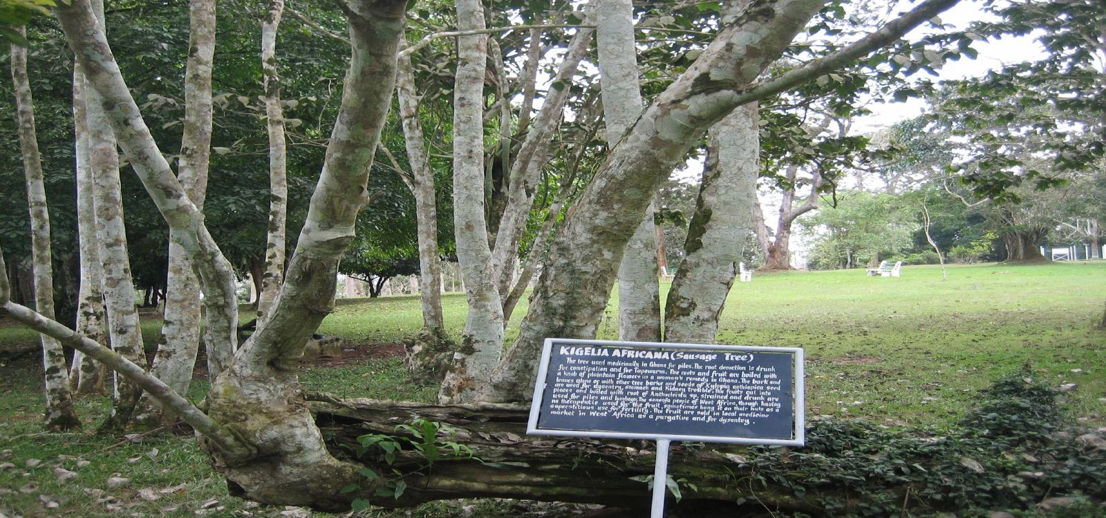 Aburi Botanical Gardens