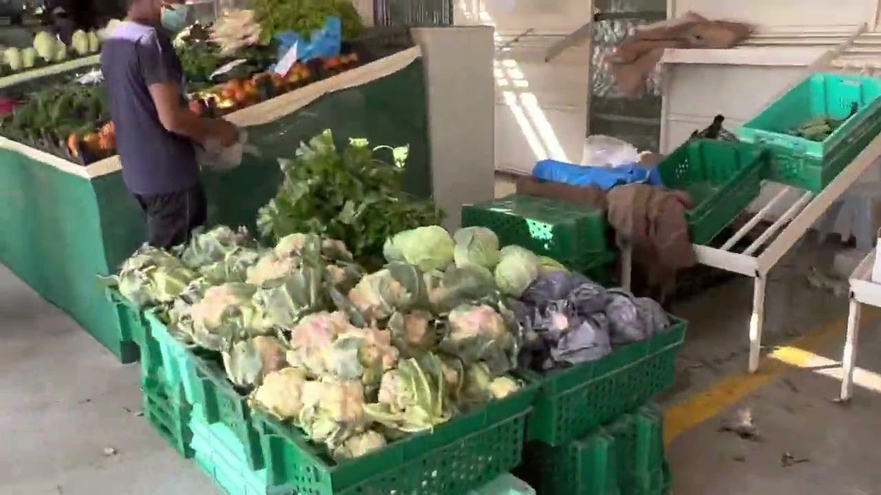 Explore Al Wakrah Yard Farmers Market 