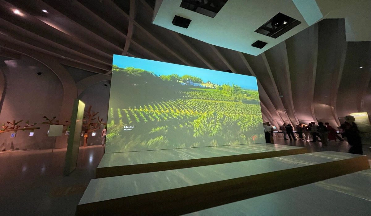 Explore Musee du Vin et du Negoce 