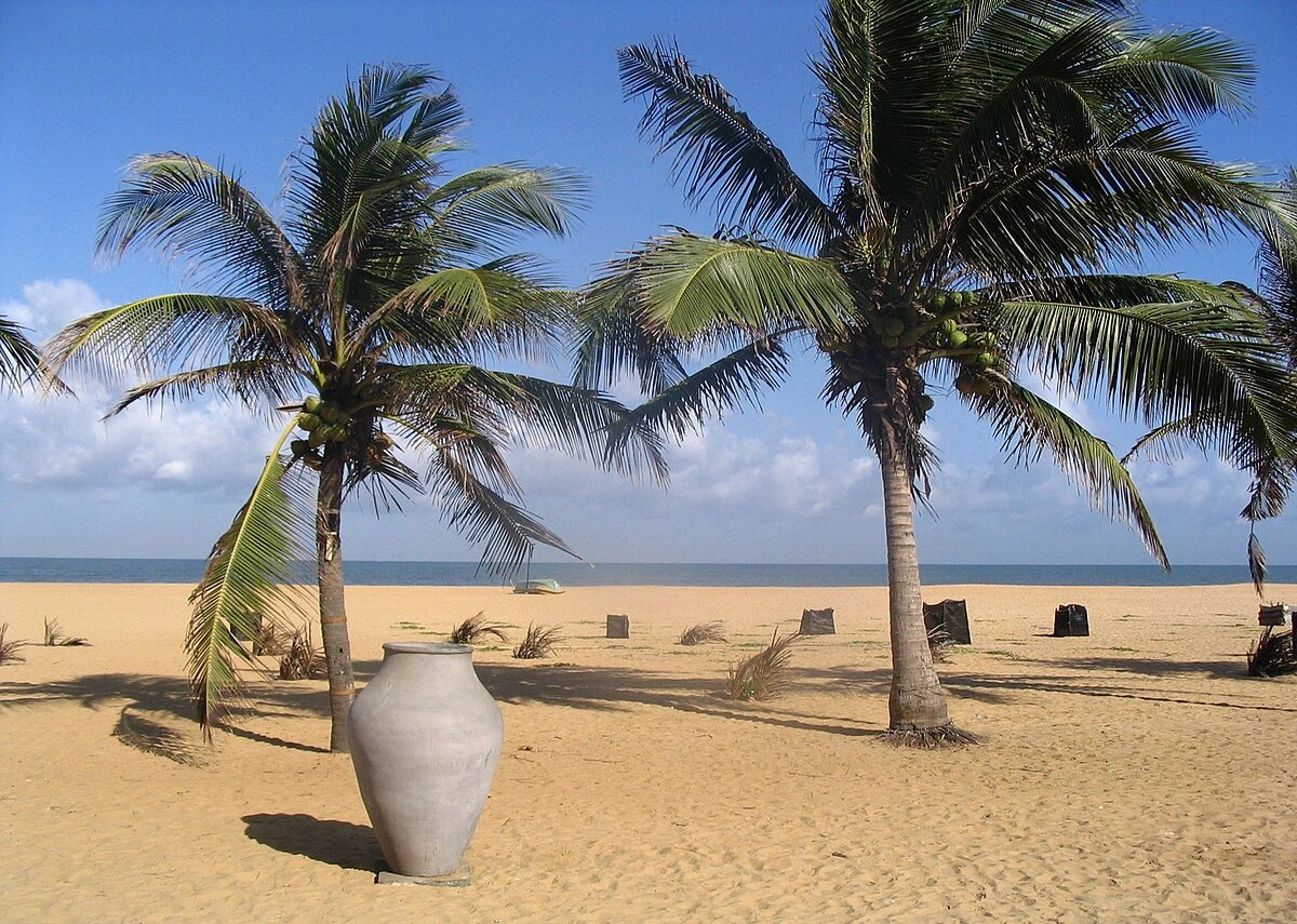 شاطئ نيجومبو