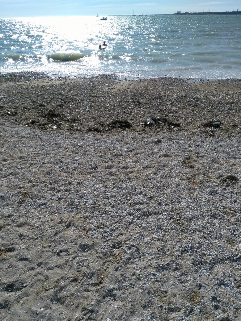 شاطئ مينيمز