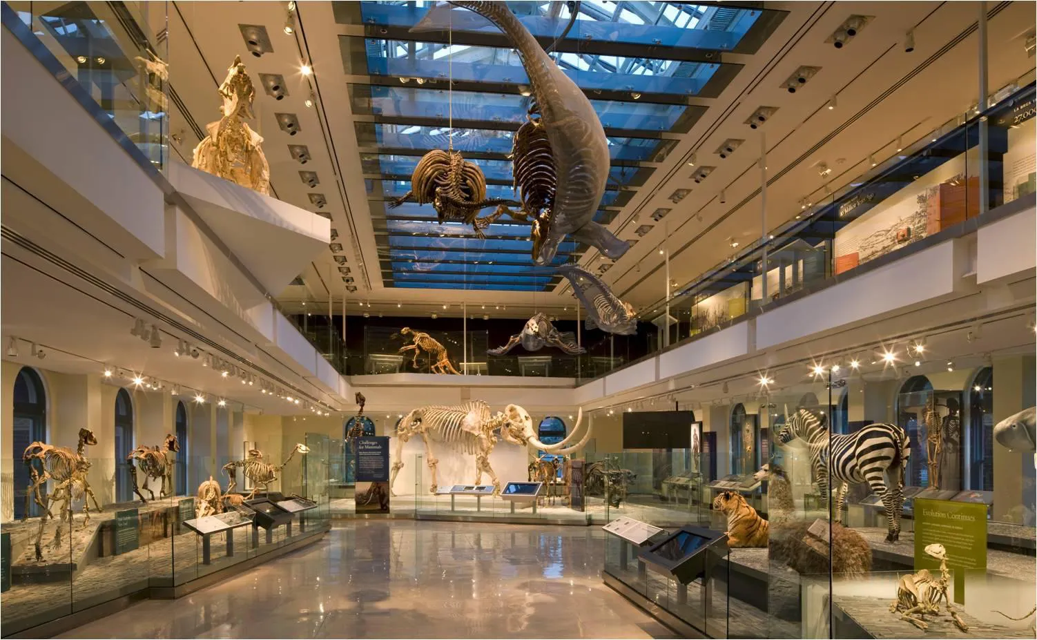 متحف التاريخ الطبيعي في مقاطعة لوس أنجلوس
