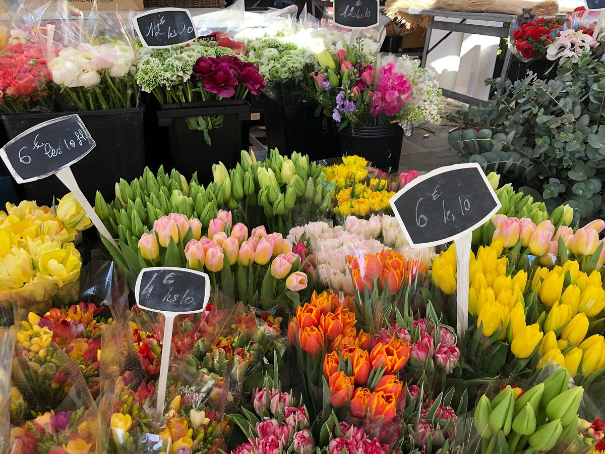 Explore سوق الزهور في ساليا 