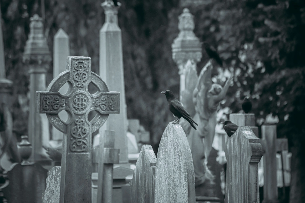 Hollywood Cemetry