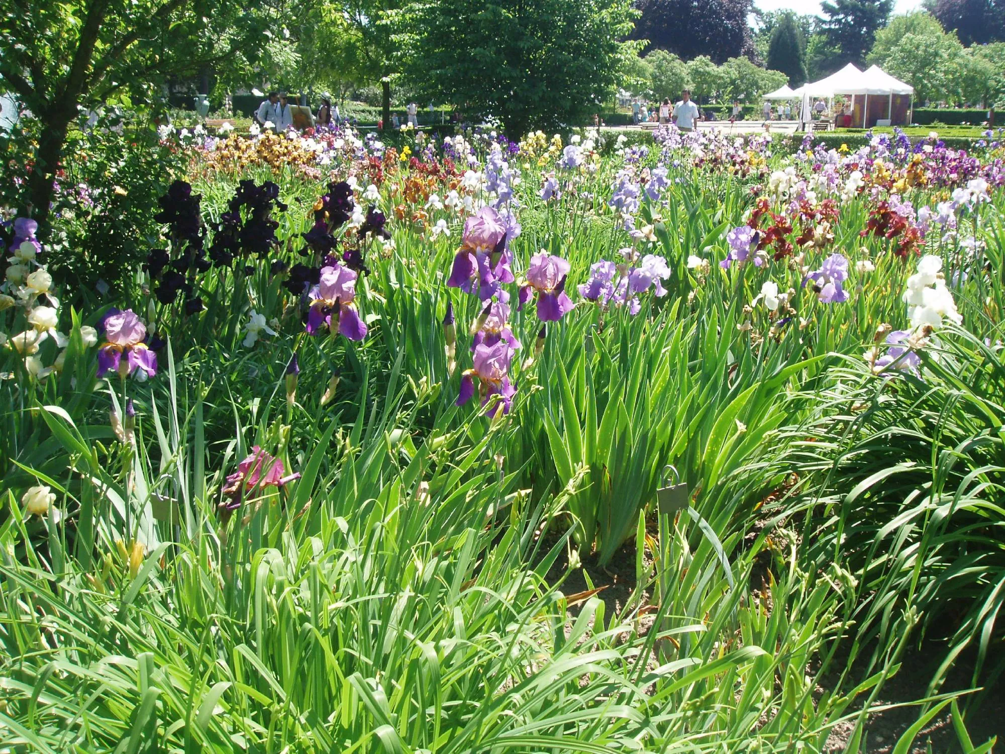 Jardin des Plantes