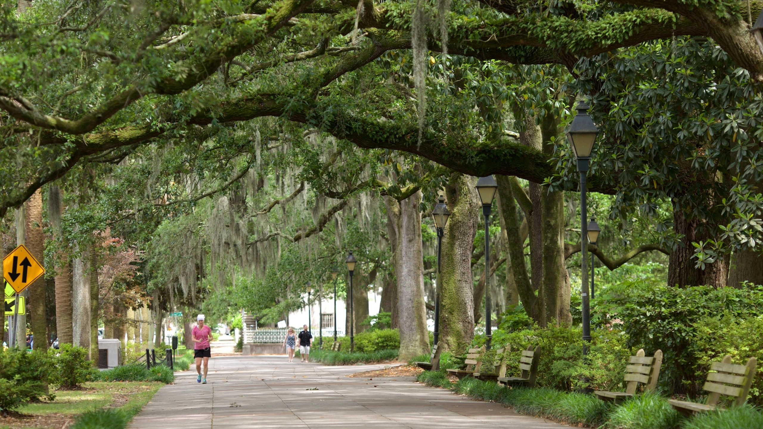 Savannah Historic District